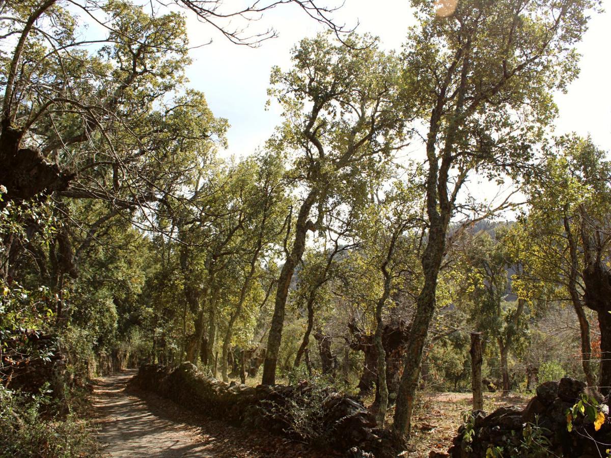 El rincón de Marcelino Cortelazor Exterior foto